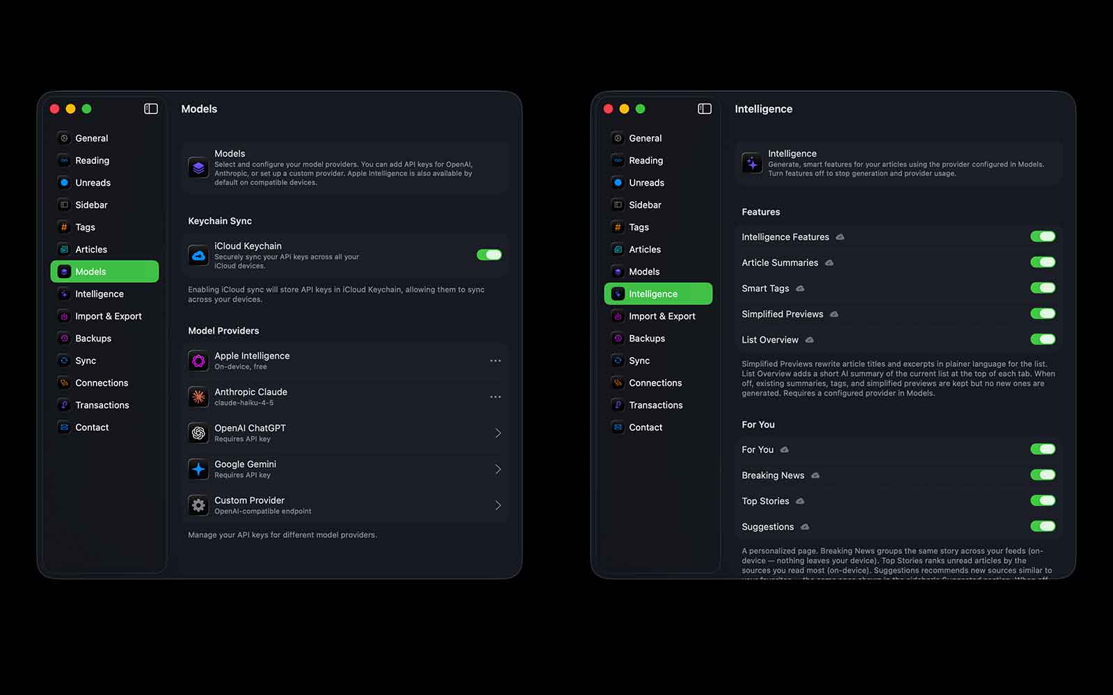 Private AI: Models settings